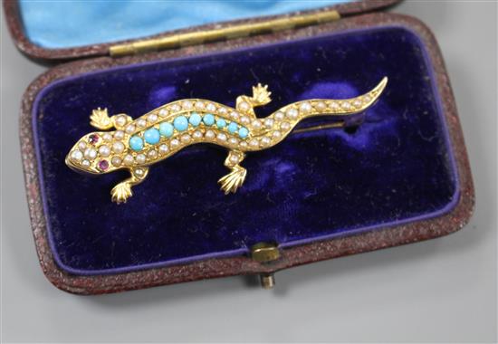 An Edwardian yellow metal(stamped 15), turquoise and seed pearl set lizard brooch, with gem set eyes, 55mm, gross 6.1 grams.